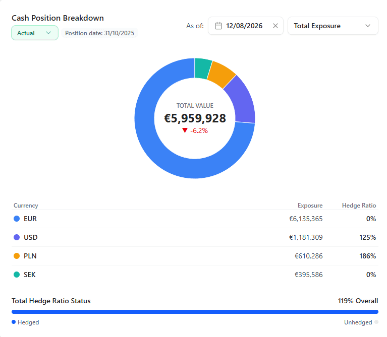 Cash position breakdown by currency with hedge ratios